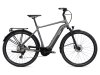 GIANT DailyTour E+ 2 D [RC Dash] space grey L
