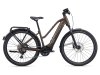 Giant Explore E+ Pro 1 truffle L